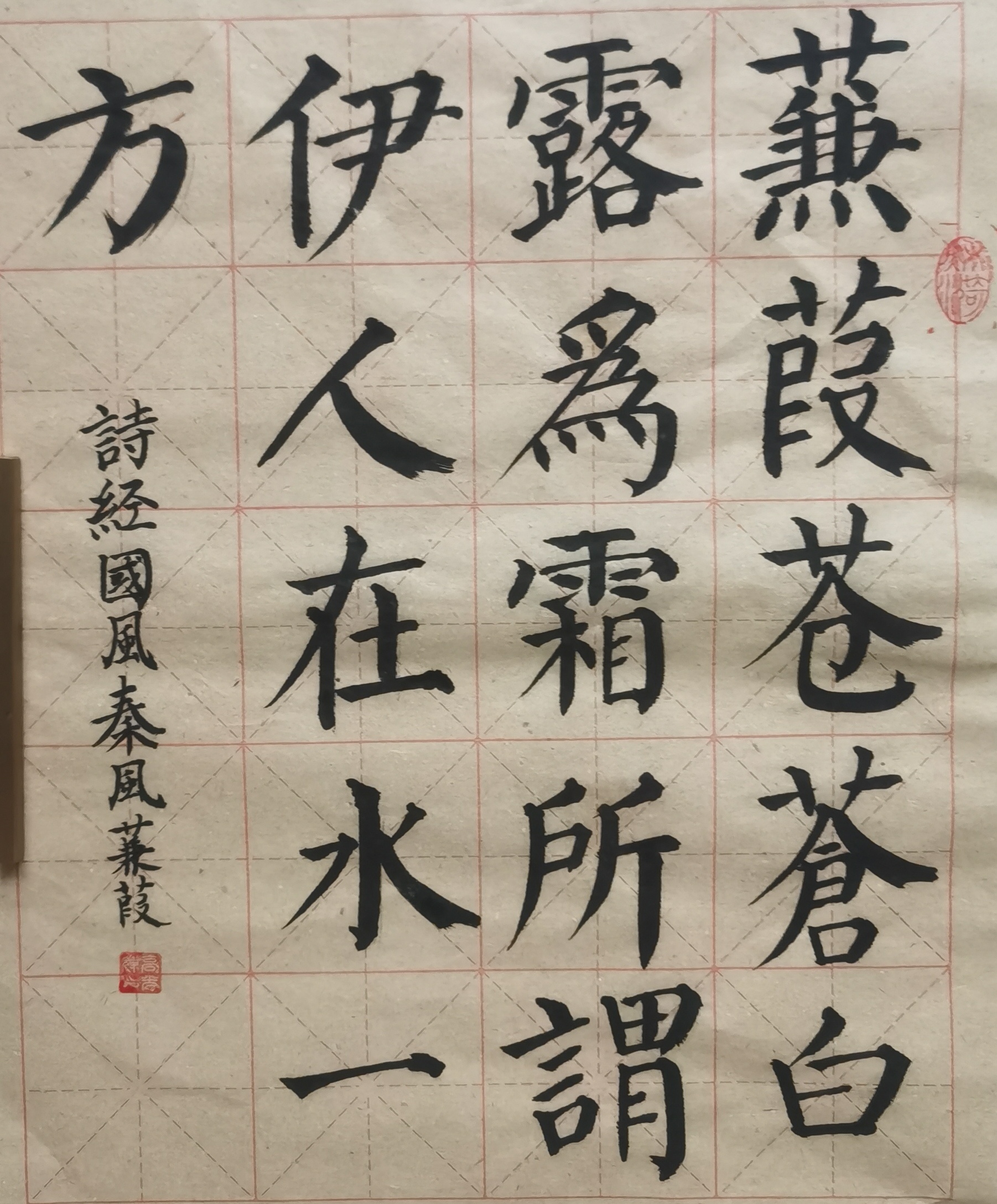 芦苇的诗句赞美芦苇的诗词有哪些