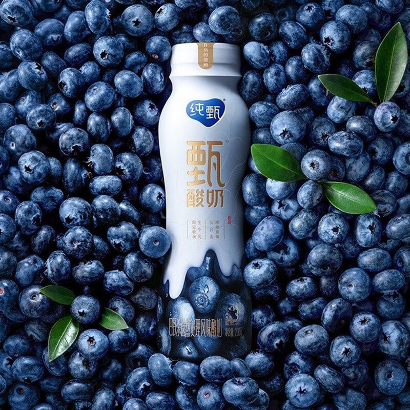 酸奶那个牌子的味道最正宗