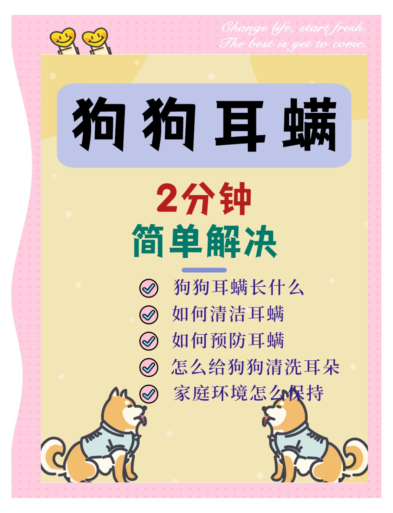 小狗耳螨会传染到人身上吗
