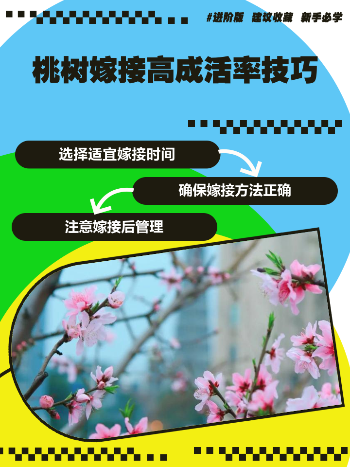 春天桃树嫁接时间及方法技巧分享