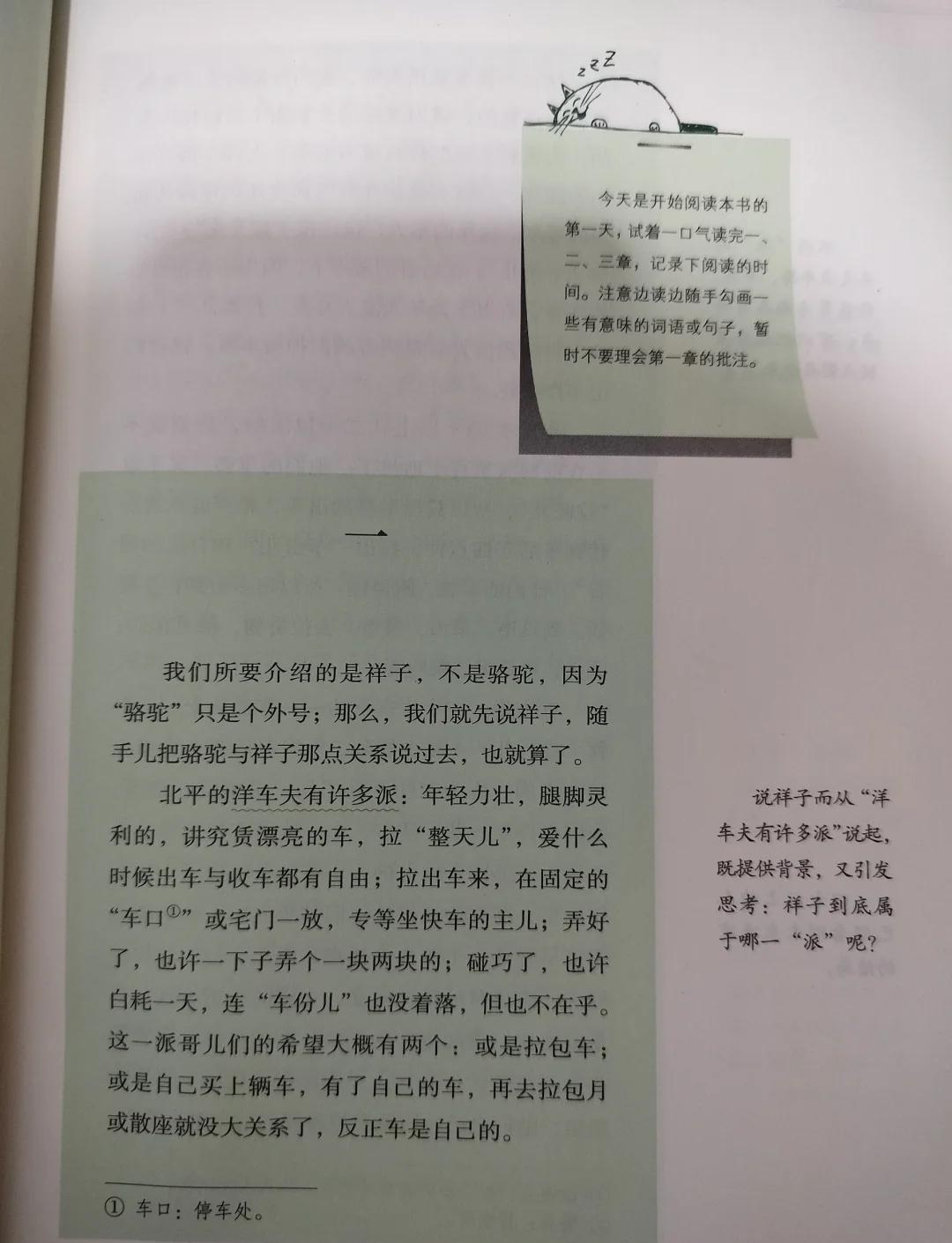《骆驼祥子》读后感400字