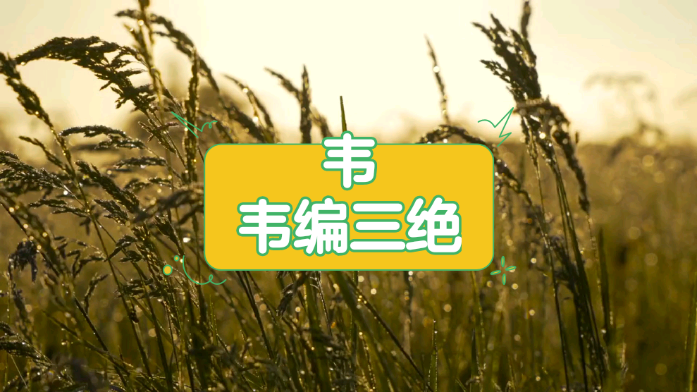 韦编三绝中韦是什么意思