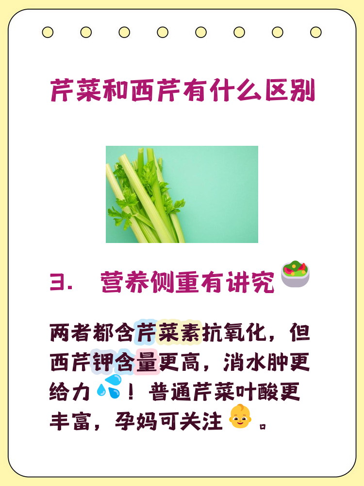 芹菜的营养价值,食用芹菜的好处有哪些