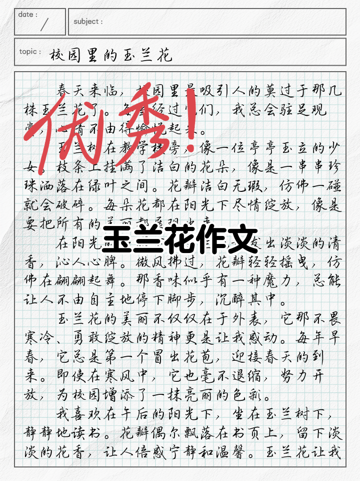 描写玉兰花的句子有哪些