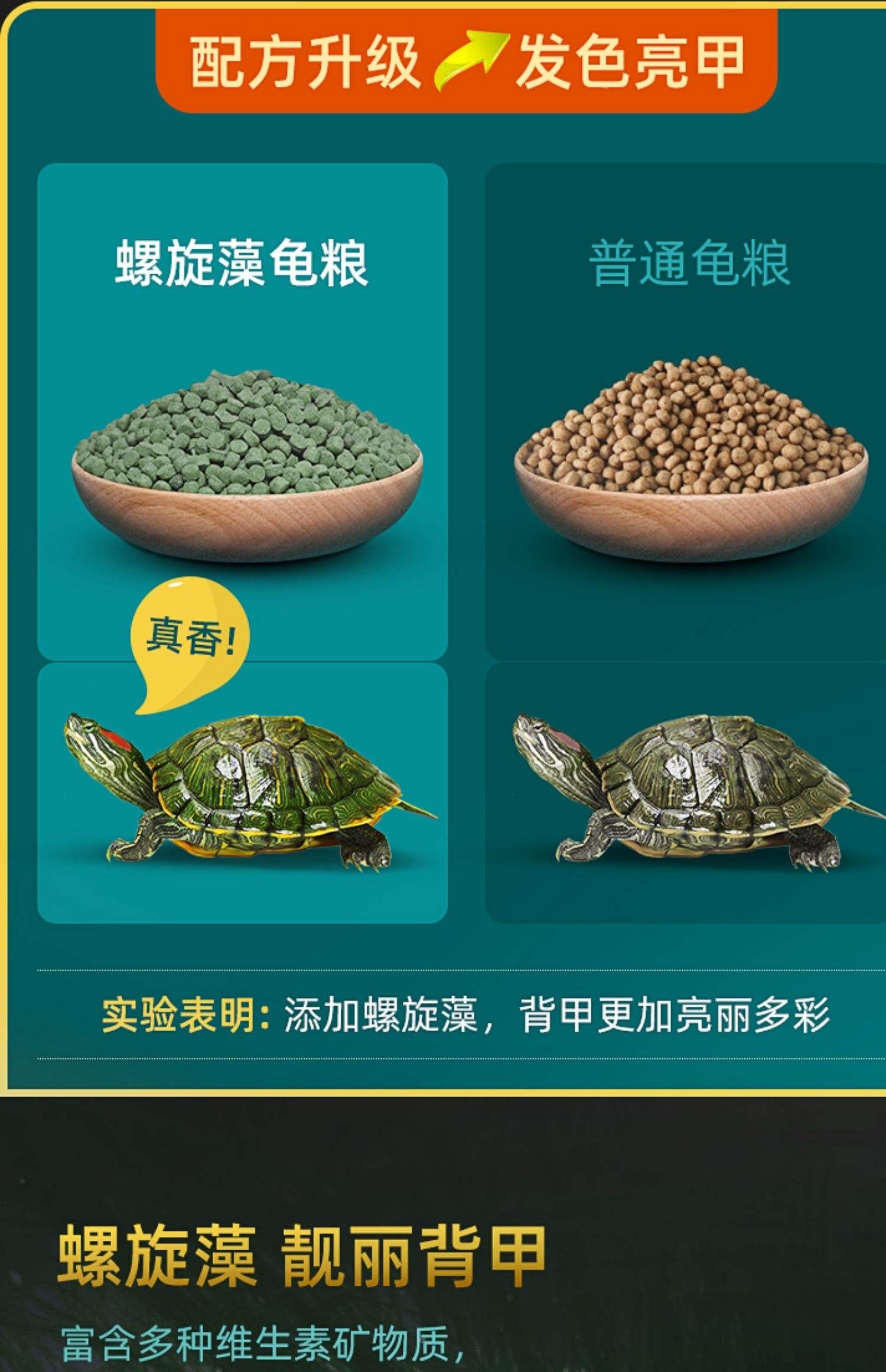 巴西乌龟吃什么食物长的快
