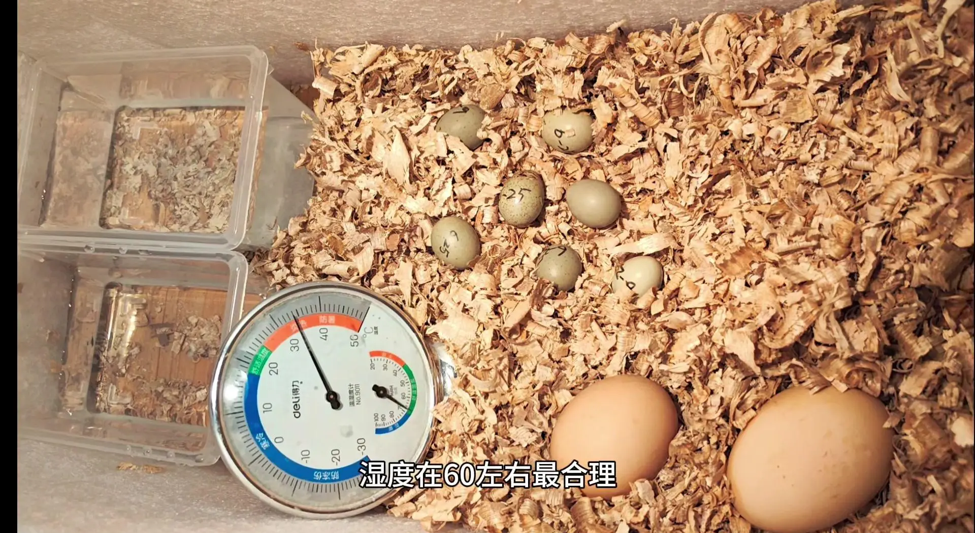 自己制作简易孵化箱的步骤