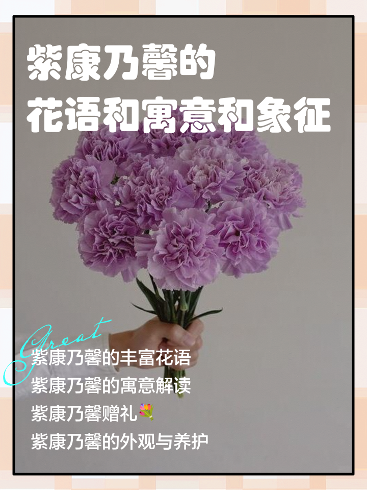 来嘉歆