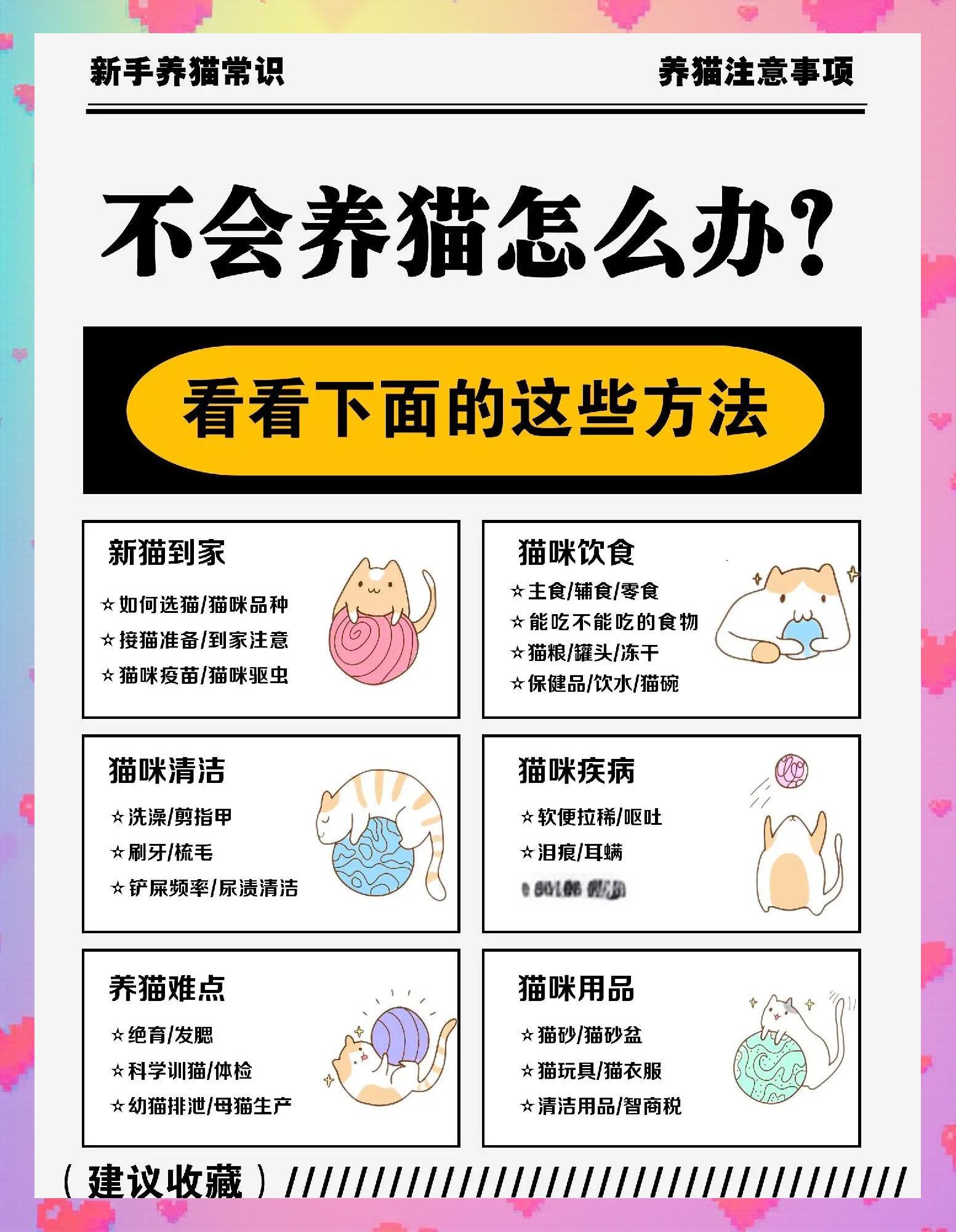 仇颖馨