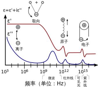 啥是极化和反极化去极化和复极化