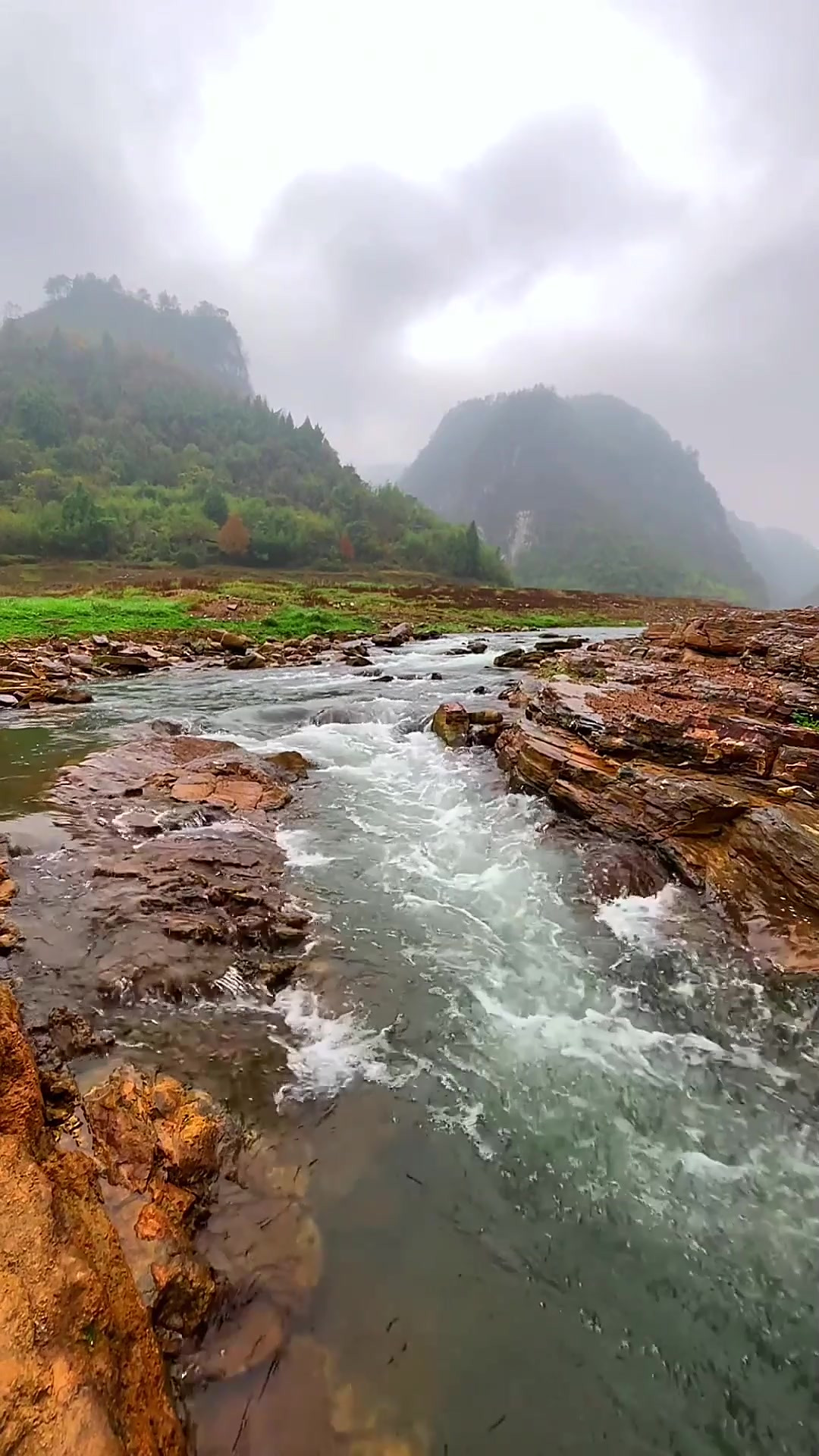 庾鹏鲲