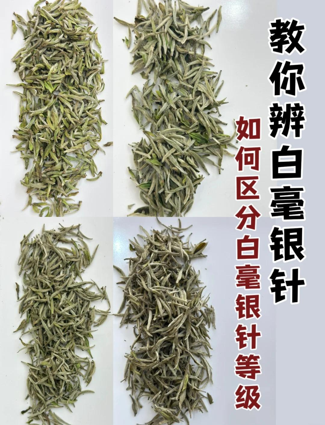 白毫银针产地及地理环境