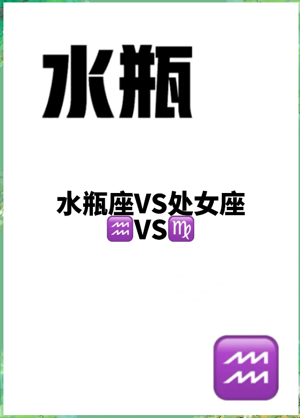 水瓶男和水瓶女在一起会怎样