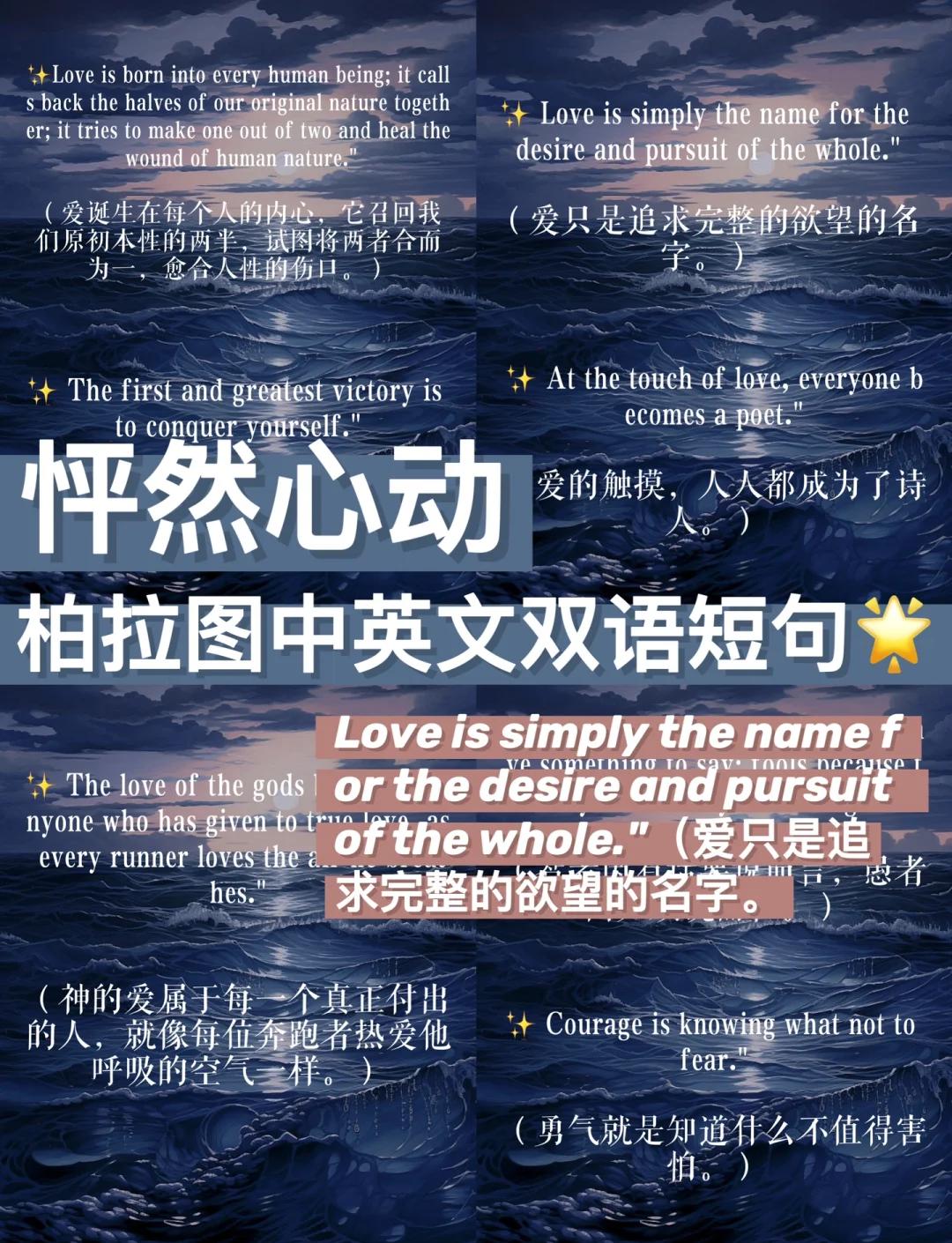 柏拉图式的爱情是什么意思呀