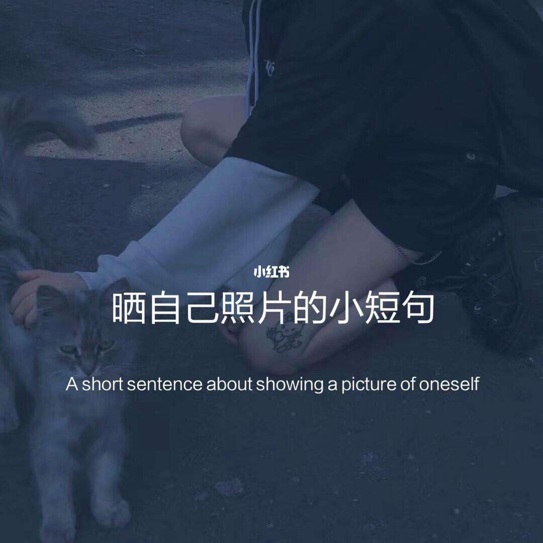 发自己的照片怎么配文字