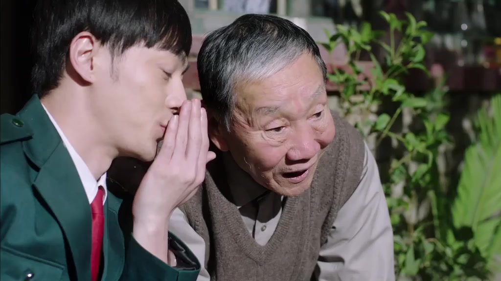 生逢灿烂的日子电视剧剧情