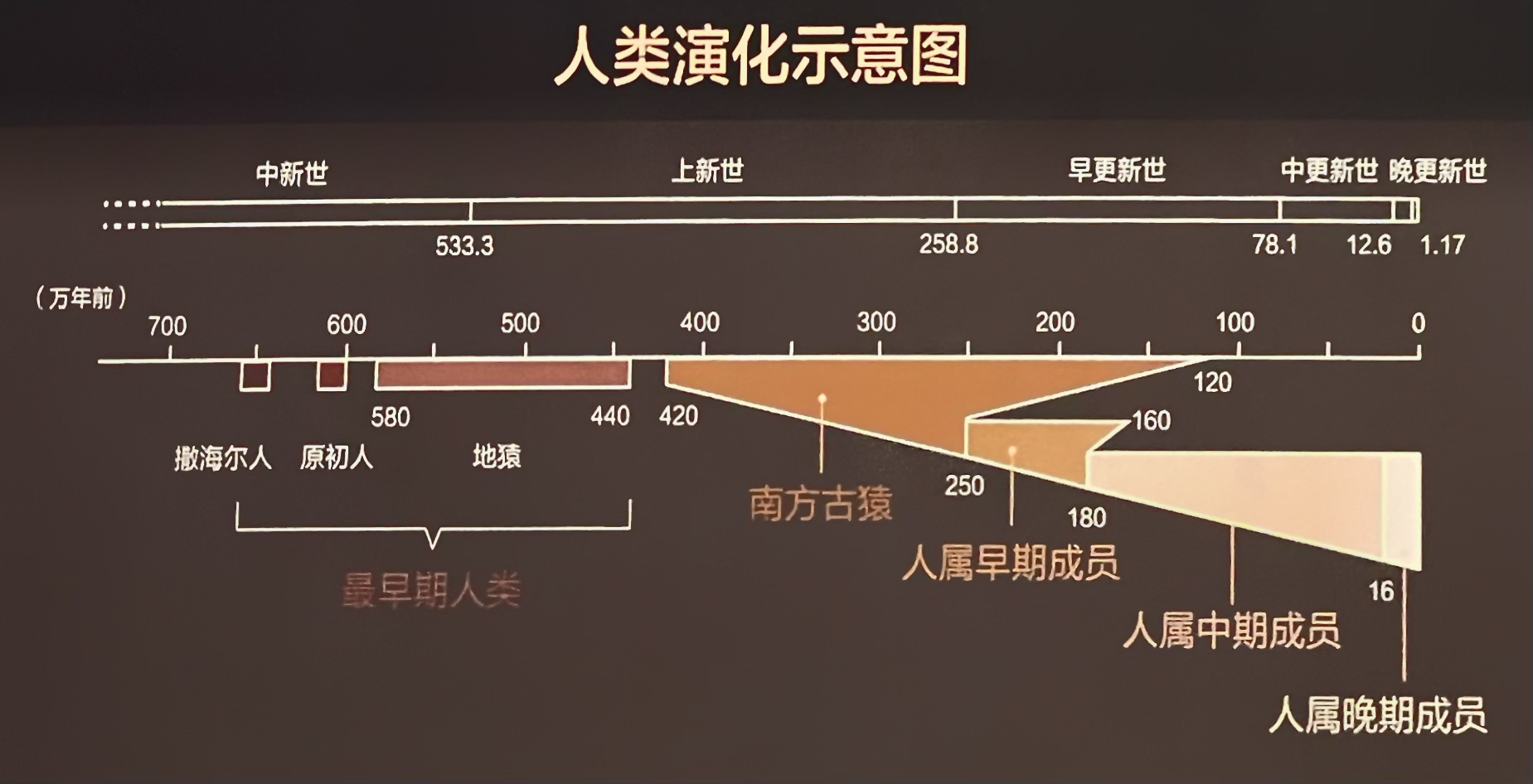 人类社会发展史上,18世纪被称为什么