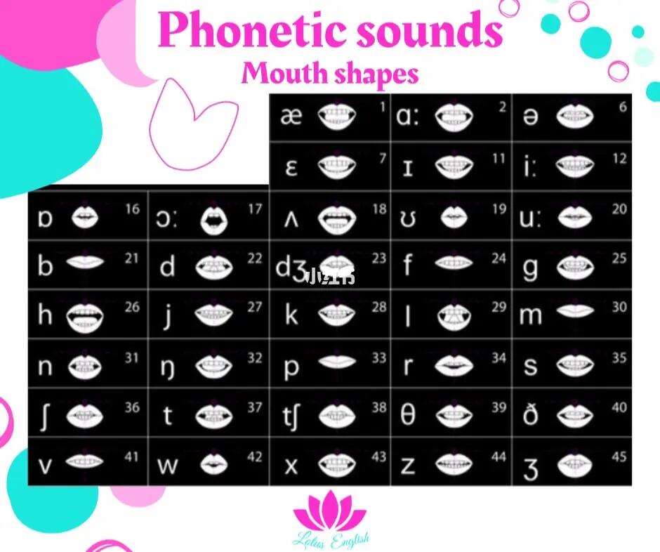 mouth是什么意思中文